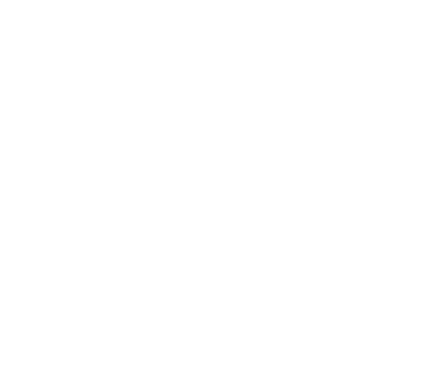 QL Partnerlogo 
